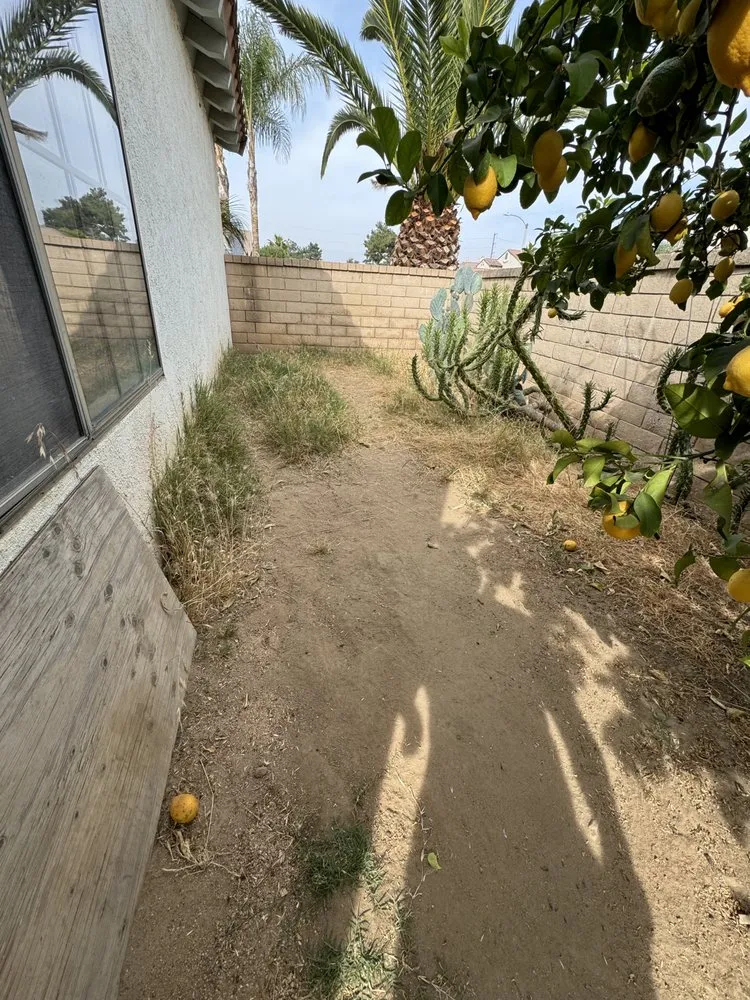 Top-rated outdoor landscaping in Moreno Valley, CA by PR Landscaping