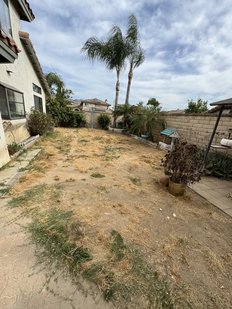 Trusted outdoor landscaping for residential properties across Moreno Valley, CA - PR Landscaping