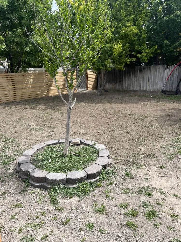 Expert lawn mowing service in Orem, UT by P&R Landscaping