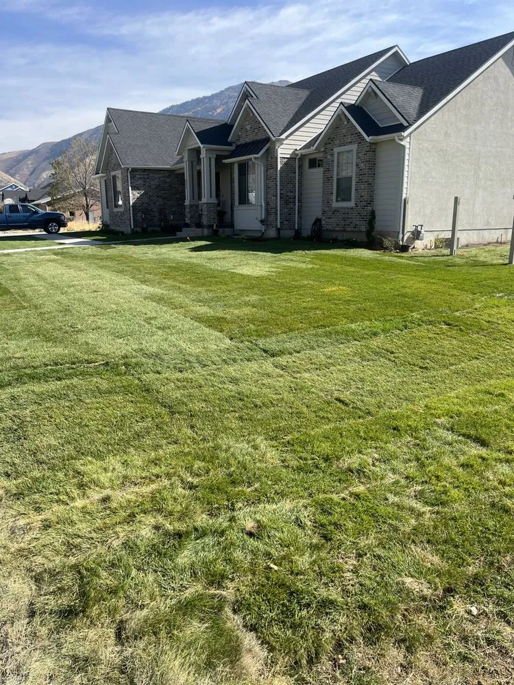 Trusted yard cleanup service with custom design in Orem, UT by P&R Landscaping