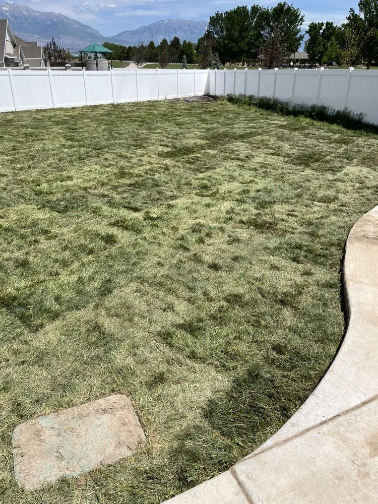 Trusted landscape design experts serving Orem, UT - P&R Landscaping