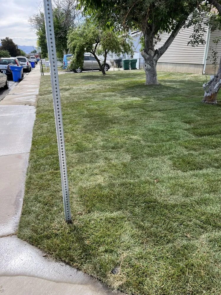 Affordable landscaping services in Orem, UT - P&R Landscaping