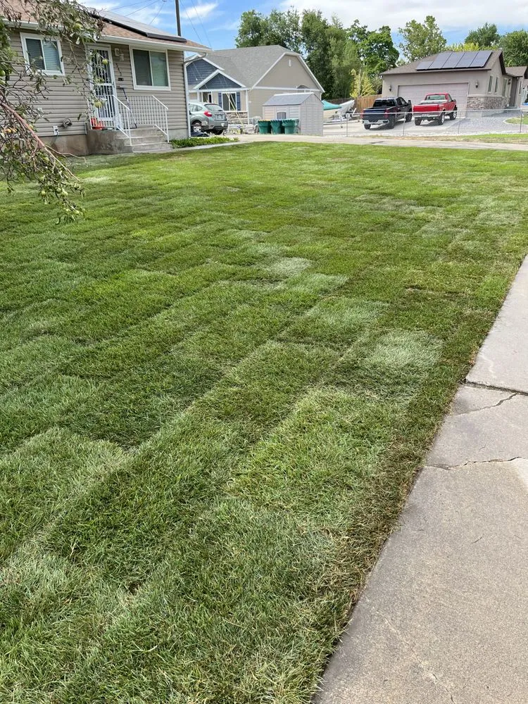 Reliable outdoor landscaping with custom design in Orem, UT by P&R Landscaping