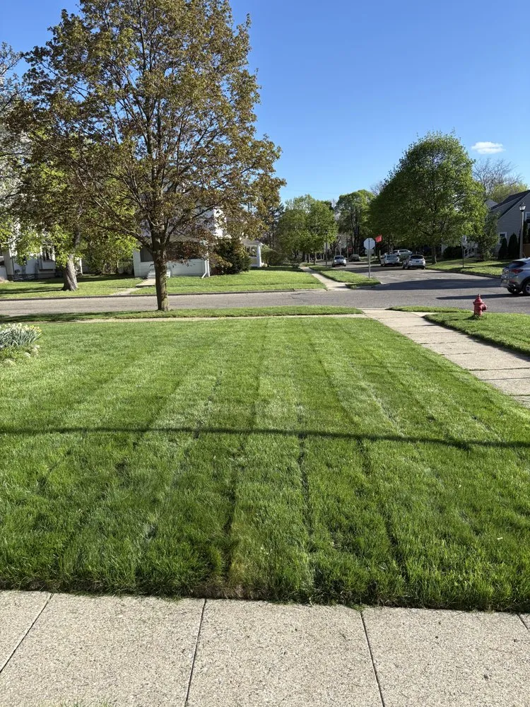 Affordable yard cleanup service for year-round maintenance in Lansing, MI by PR Lawn & Snow