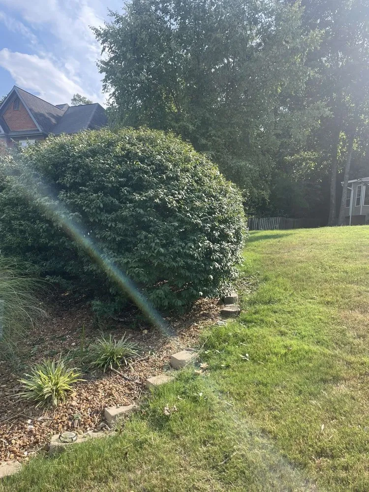 Affordable landscape installation in Ringgold, GA by PR Lawn Care