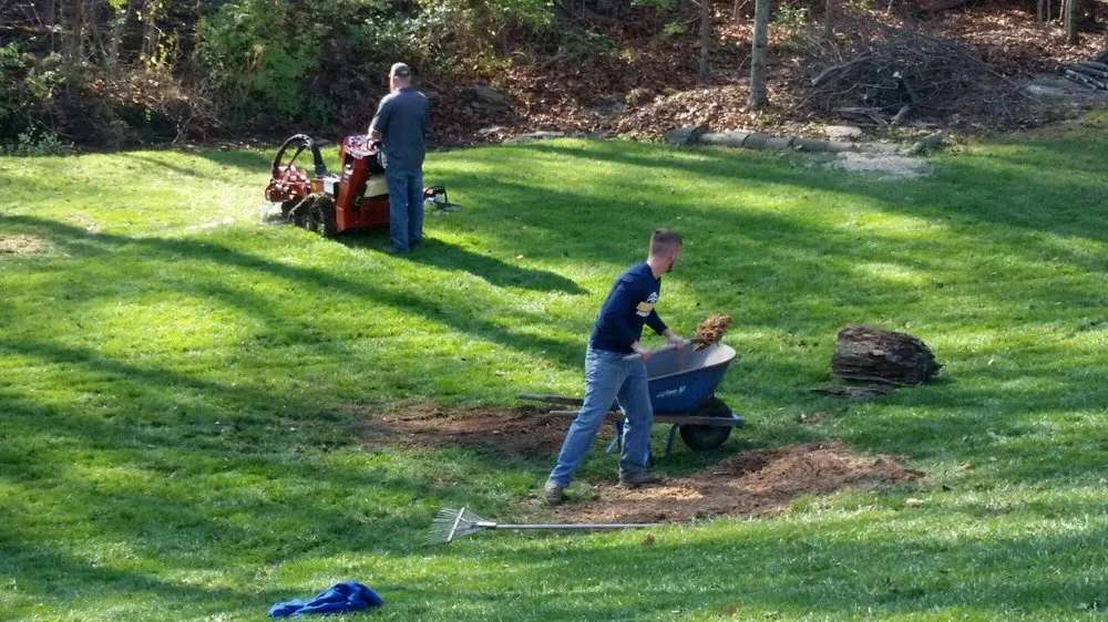 Trusted landscaping services near you in Alexandria, KY by PR Lawncare
