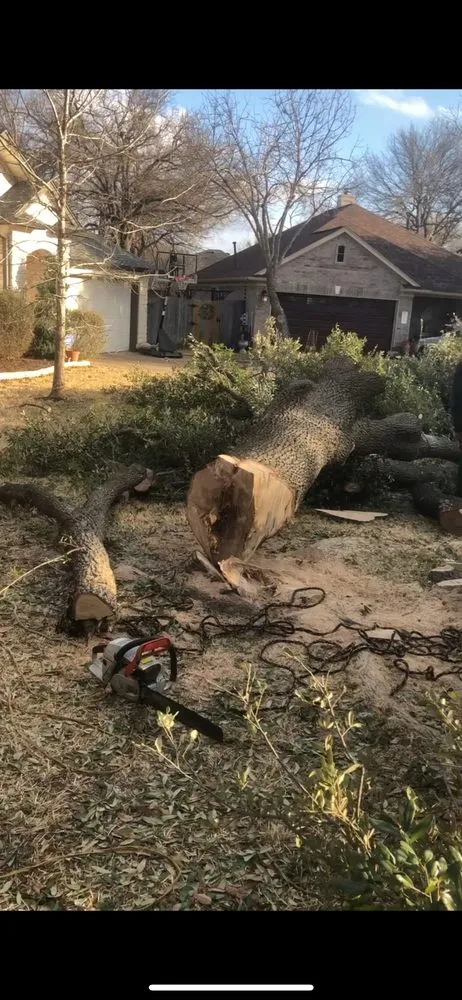 Affordable landscape installation experts serving Cedar Park, TX - PR Lawns & Landscaping