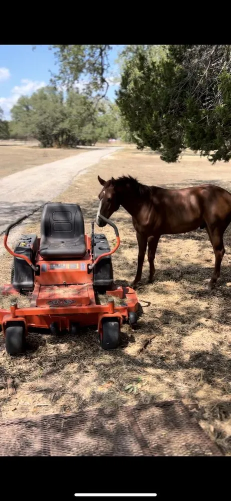 Affordable garden landscaping experts serving Cedar Park, TX - PR Lawns & Landscaping
