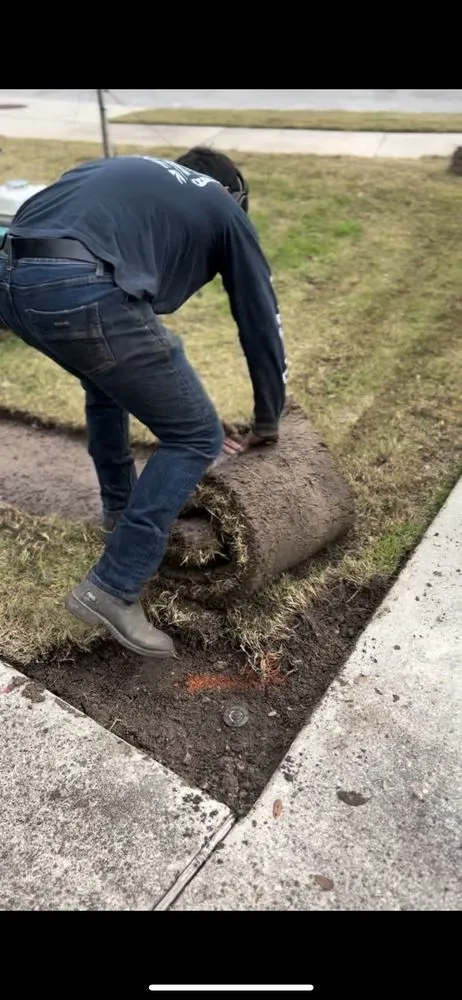 Trusted yard maintenance in Cedar Park, TX - PR Lawns & Landscaping