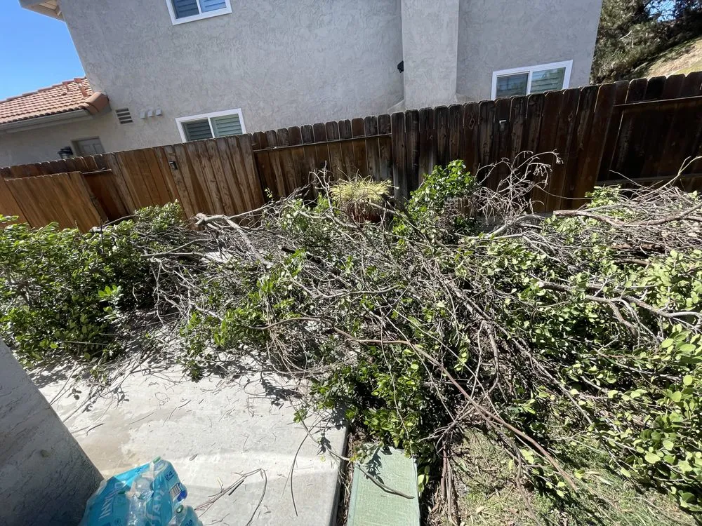 Custom yard maintenance in San Diego, CA by P&R Site Masters