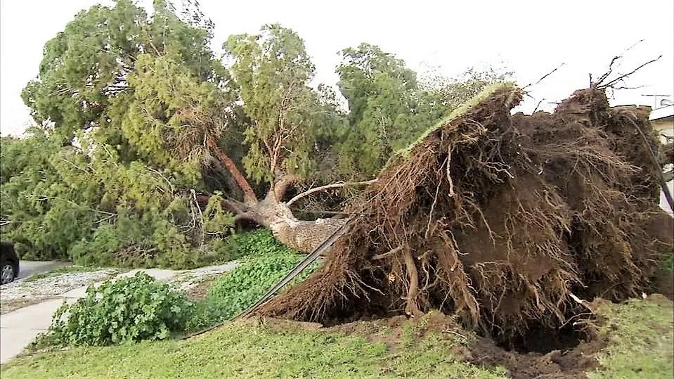 Top-rated yard cleanup service experts serving Seville, OH - Pracko's Landscaping