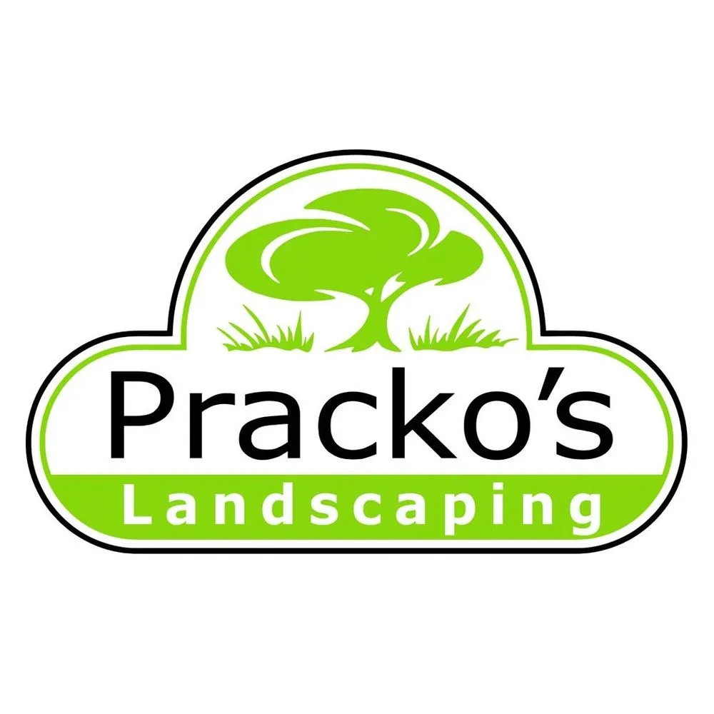 Top-rated landscaping services for year-round maintenance across Seville, OH - Pracko's Landscaping