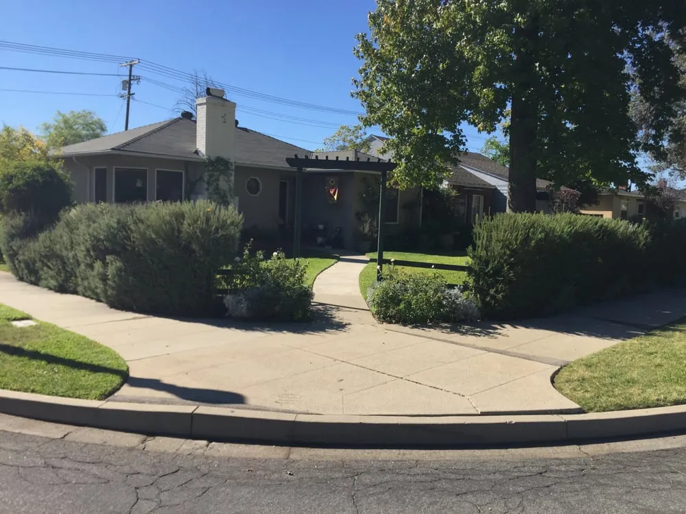 Professional landscape installation for outdoor upgrades across Pasadena, CA - Prada's Landcare