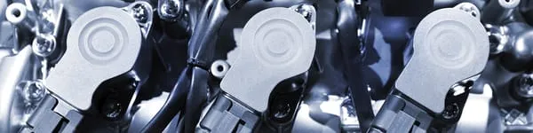 Prado Landscape Logo