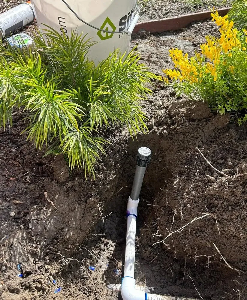 Reliable outdoor landscaping in Long Beach, CA by Prado Landscapes