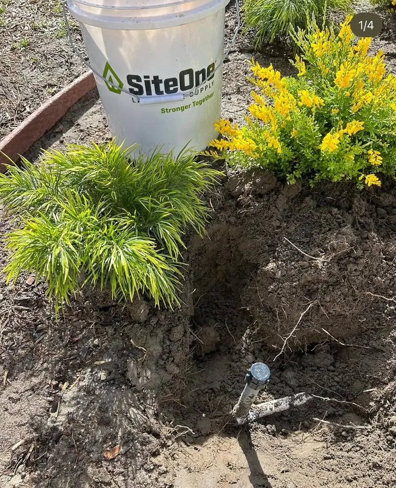 Top-rated outdoor landscaping for year-round maintenance in Long Beach, CA by Prado Landscapes