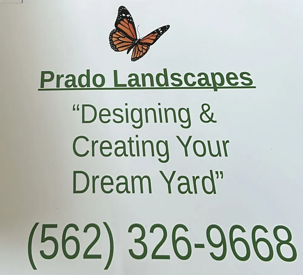 Affordable yard cleanup service experts serving Long Beach, CA - Prado Landscapes