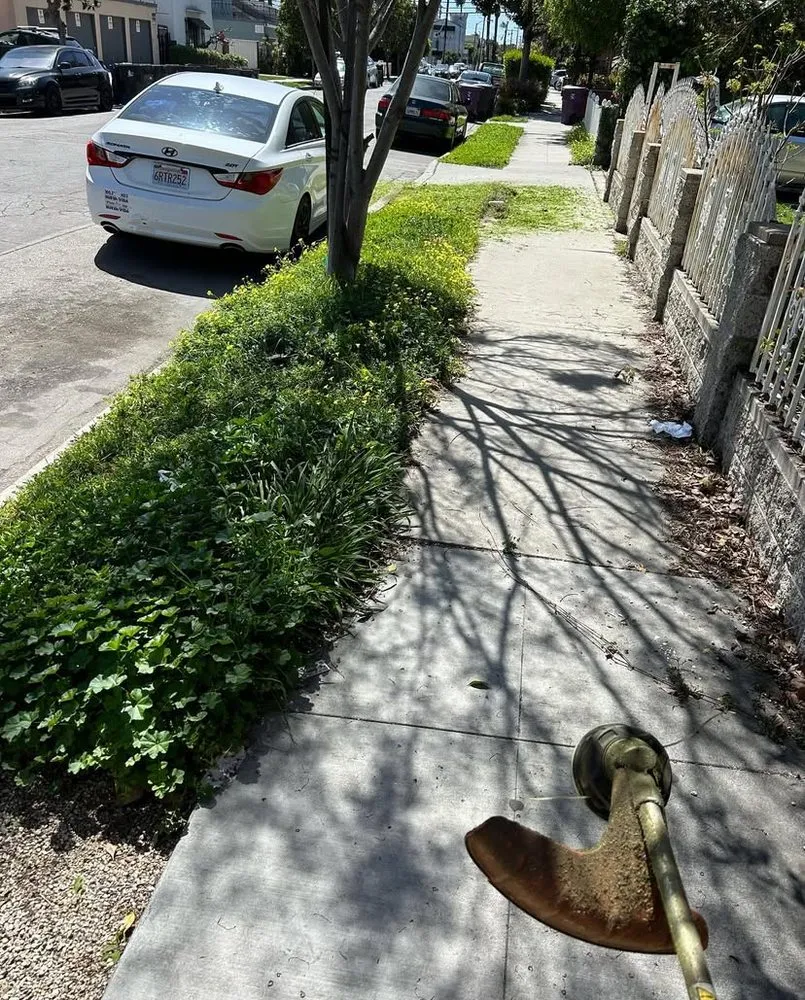 Custom outdoor landscaping experts serving Long Beach, CA - Prado Landscapes