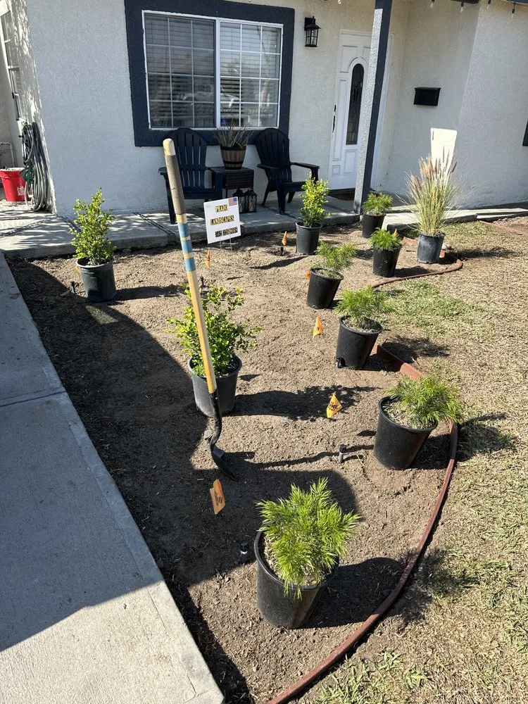 Top-rated yard cleanup service in Long Beach, CA by Prado Landscapes