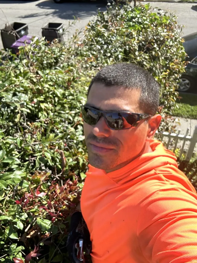 Local landscape installation for outdoor upgrades in Long Beach, CA by Prado Landscapes