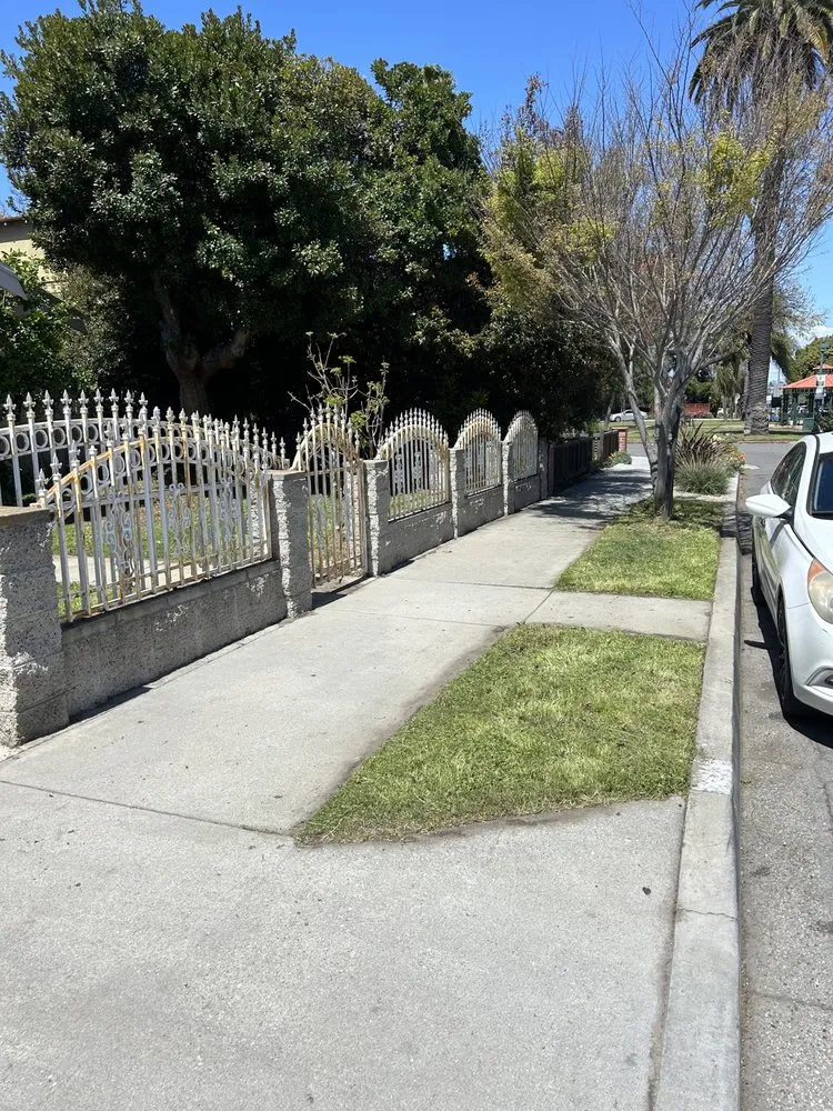 Trusted outdoor landscaping for beautiful yards in Long Beach, CA by Prado Landscapes