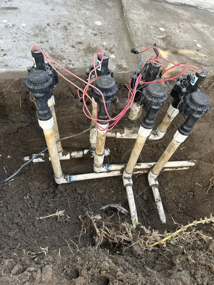 Trusted landscaping services for beautiful yards across Long Beach, CA - Prado Landscapes