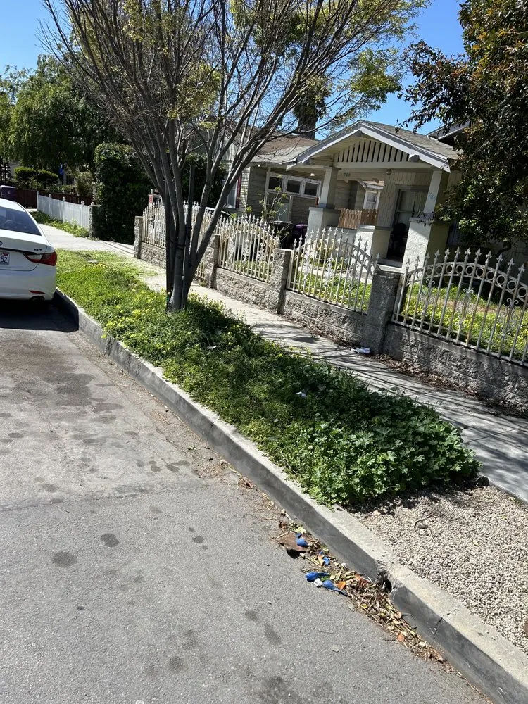 Trusted landscape design for year-round maintenance across Long Beach, CA - Prado Landscapes