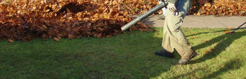 Local residential landscaping near you across Milwaukie, OR - Prado Landscaping