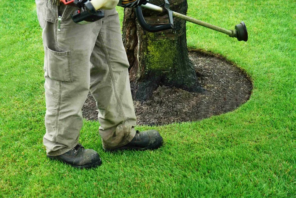 Top-rated garden landscaping in Milwaukie, OR by Prado Landscaping