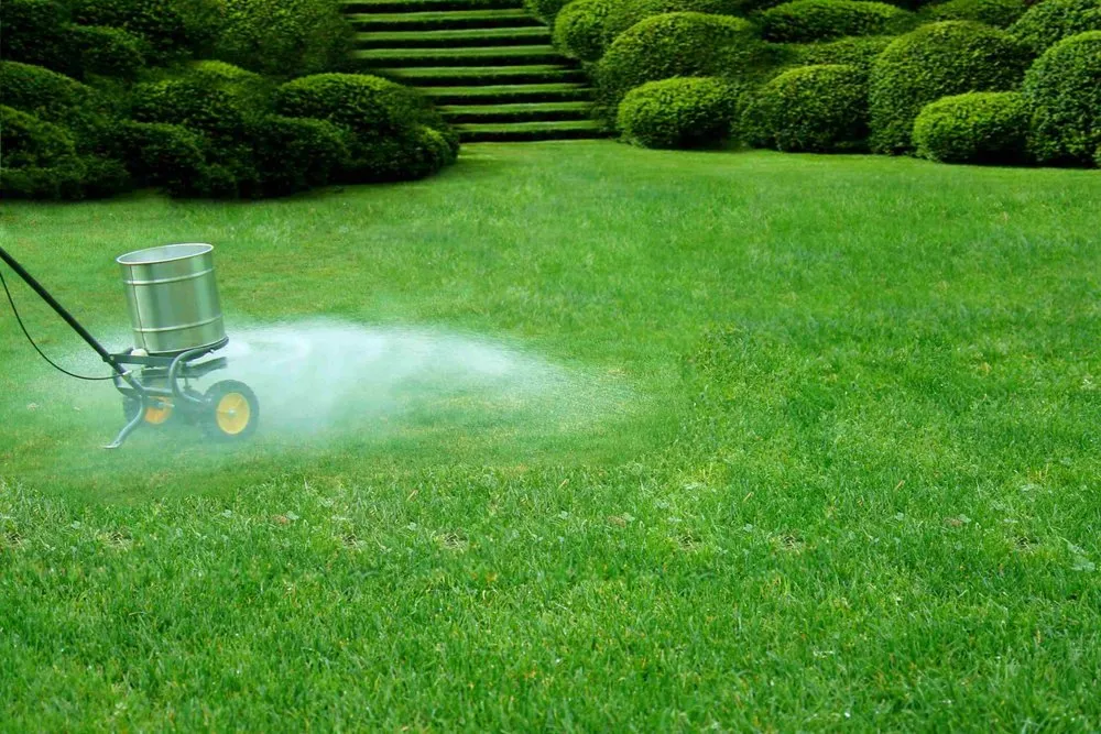 Reliable yard cleanup service experts serving Milwaukie, OR - Prado Landscaping
