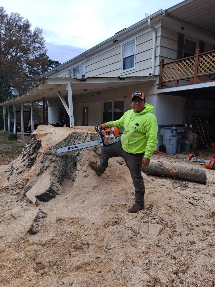 Affordable yard cleanup service near you in Pfafftown, NC by Prado Tree Services and Landscaping