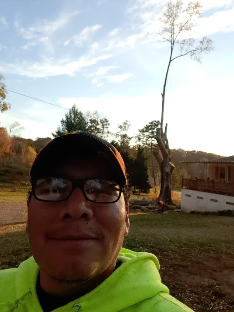 Professional residential landscaping in Pfafftown, NC by Prado Tree Services and Landscaping
