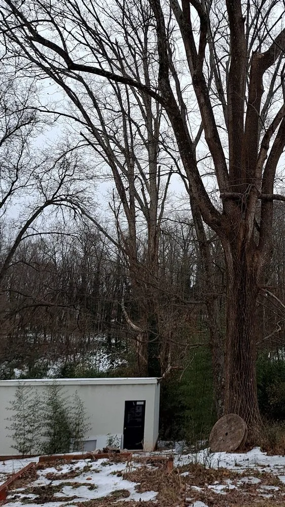 Expert landscape installation with custom design across Pfafftown, NC - Prado Tree Services and Landscaping