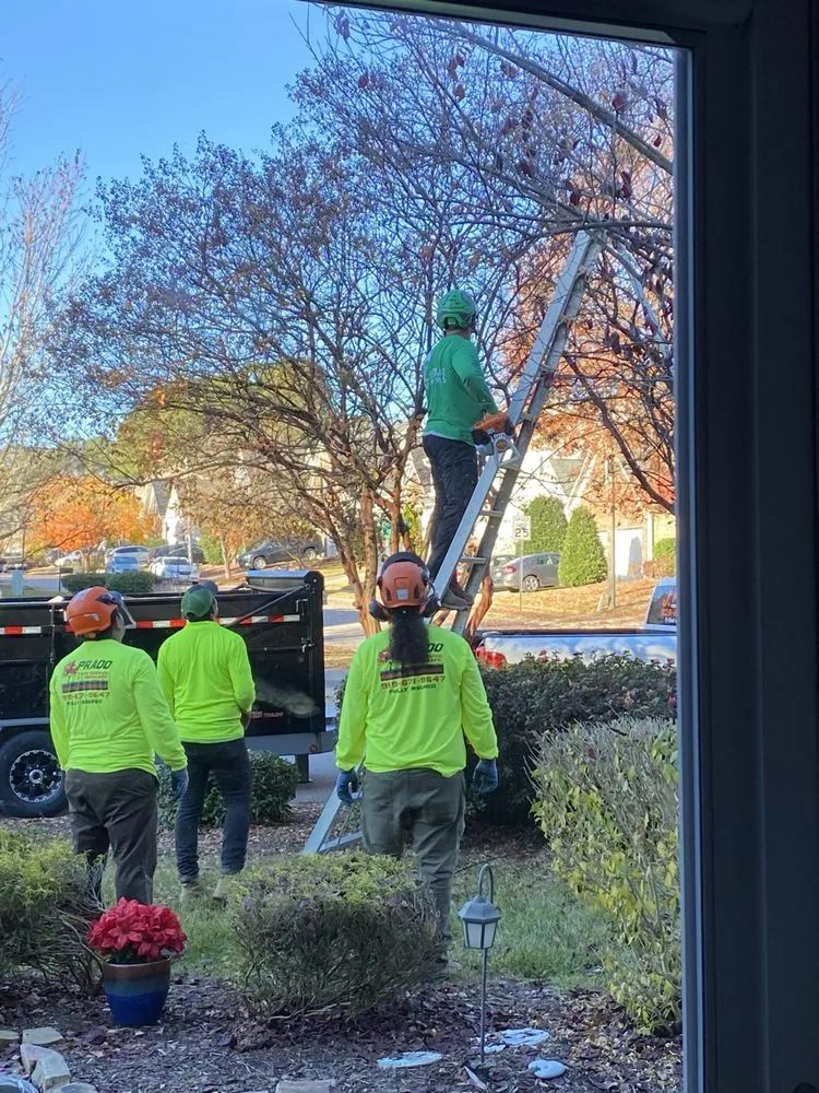 Local garden landscaping for outdoor upgrades across Pfafftown, NC - Prado Tree Services and Landscaping