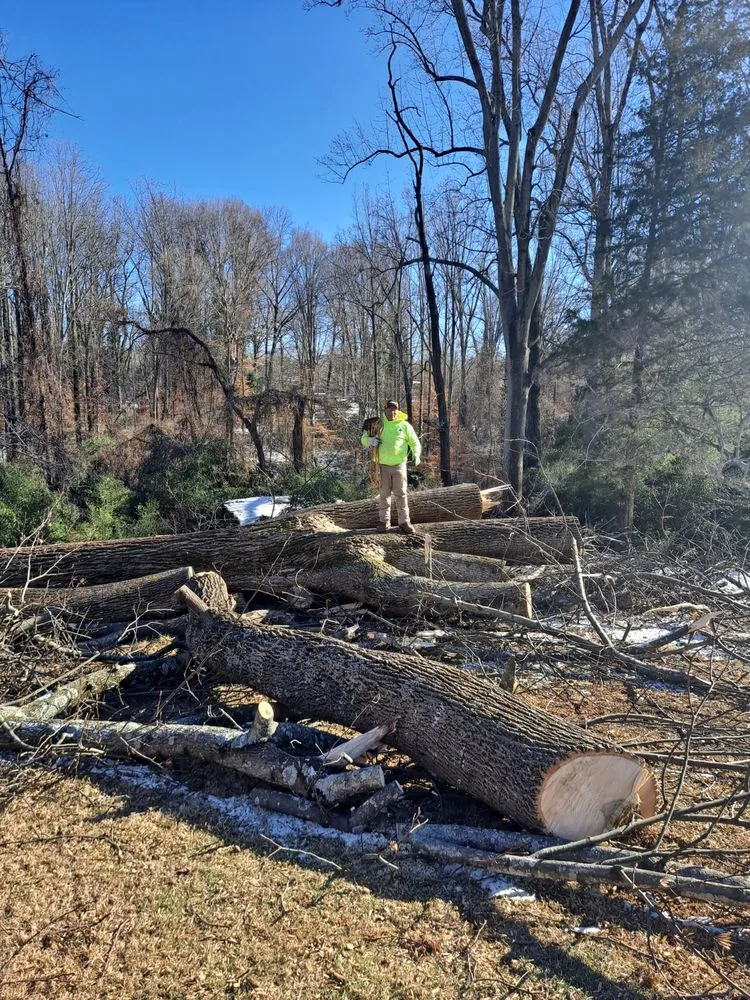Custom landscape installation in Pfafftown, NC - Prado Tree Services and Landscaping