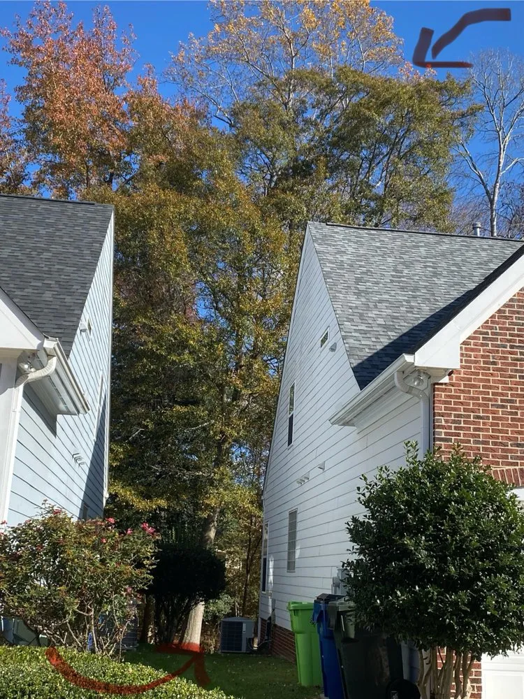 Top-rated lawn mowing service experts serving Pfafftown, NC - Prado Tree Services and Landscaping