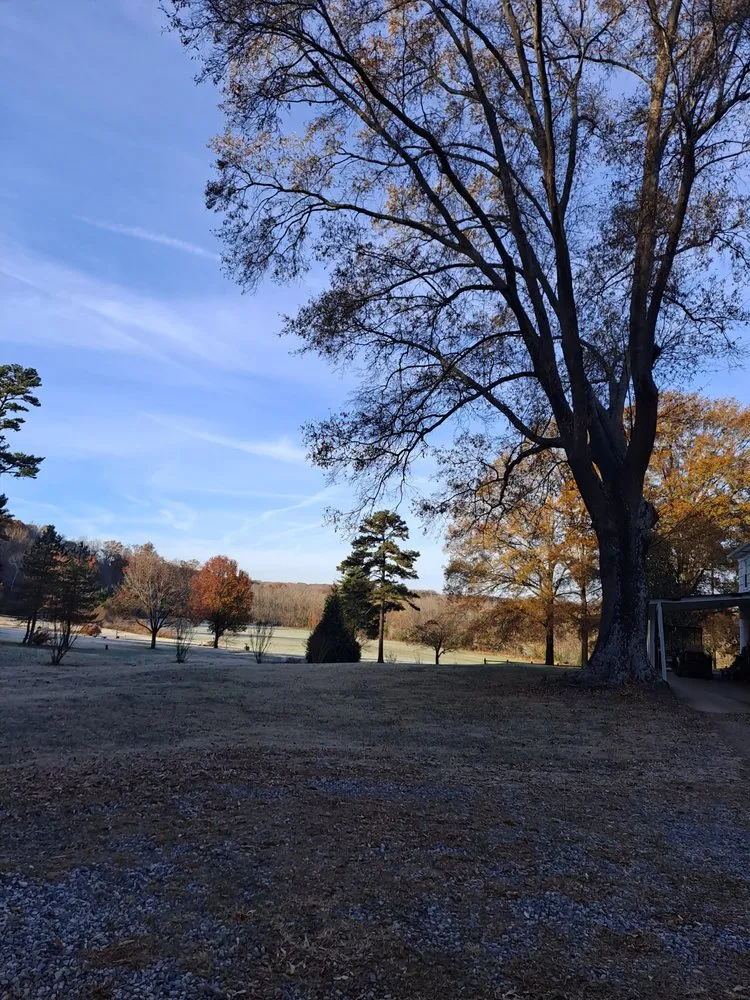 Expert yard cleanup service for year-round maintenance in Pfafftown, NC by Prado Tree Services and Landscaping