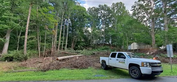 Prado Tree Services and Landscaping