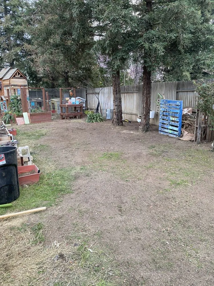 Custom lawn care service in Bakersfield, CA - Prados Hauling Junk