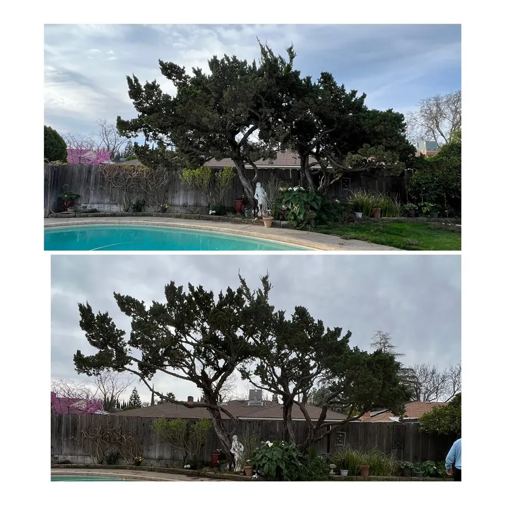 Custom residential landscaping for outdoor upgrades across Merced, CA - Prado's Landscaping & Tree Service