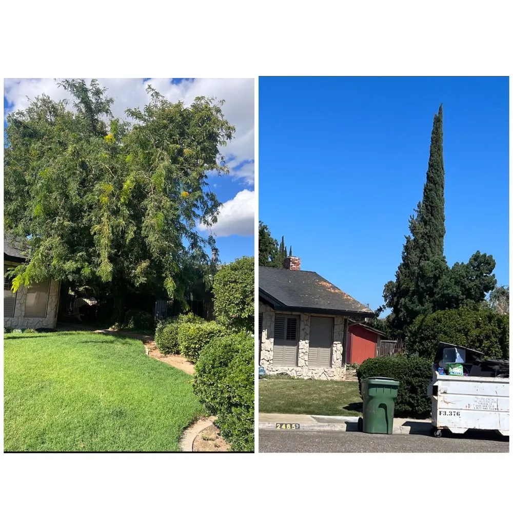 Expert landscape design for residential properties across Merced, CA - Prado's Landscaping & Tree Service