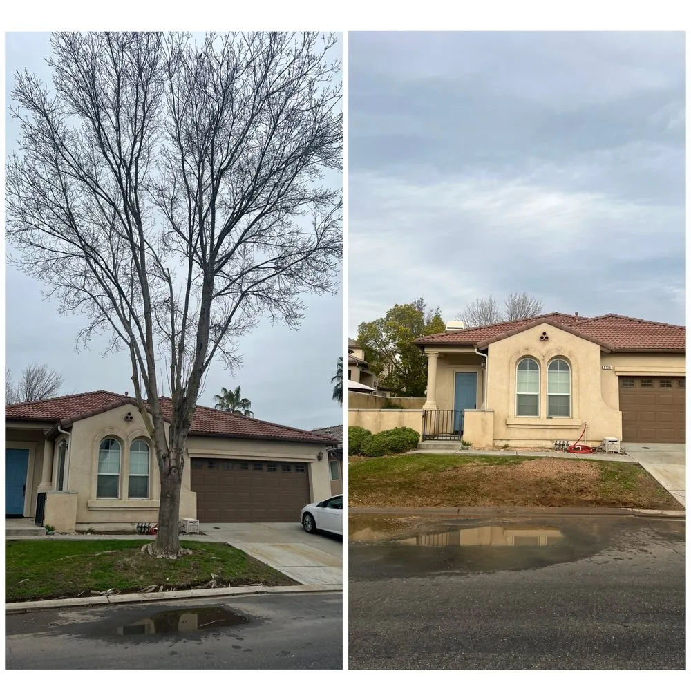 Affordable landscape design for beautiful yards across Merced, CA - Prado's Landscaping & Tree Service