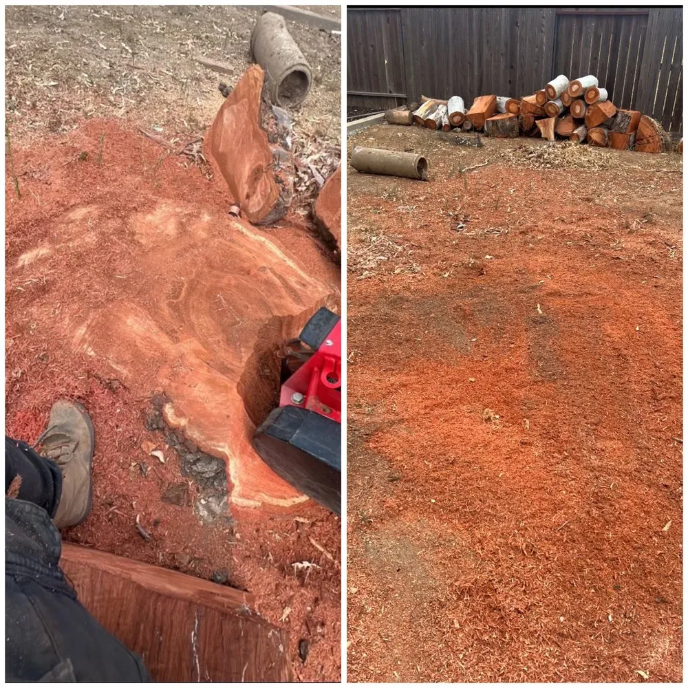 Affordable landscape design with custom design across Merced, CA - Prado's Landscaping & Tree Service