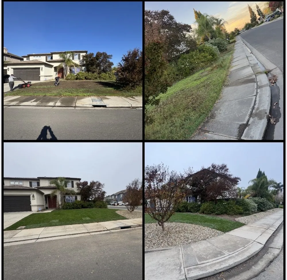 Local yard maintenance for outdoor upgrades across Merced, CA - Prado's Landscaping & Tree Service