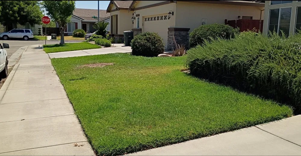 Local landscape design for residential properties in Merced, CA by Prado's Landscaping & Tree Service