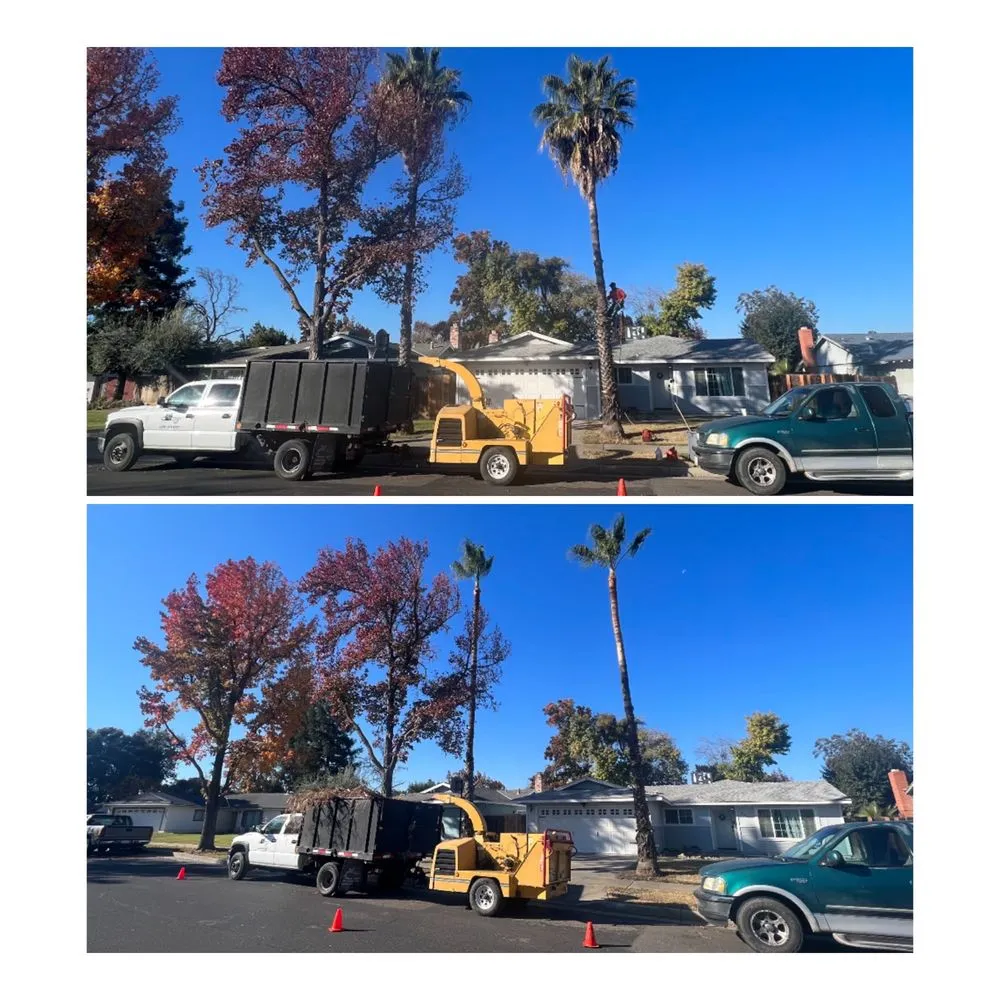 Local landscape installation in Merced, CA by Prado's Landscaping & Tree Service