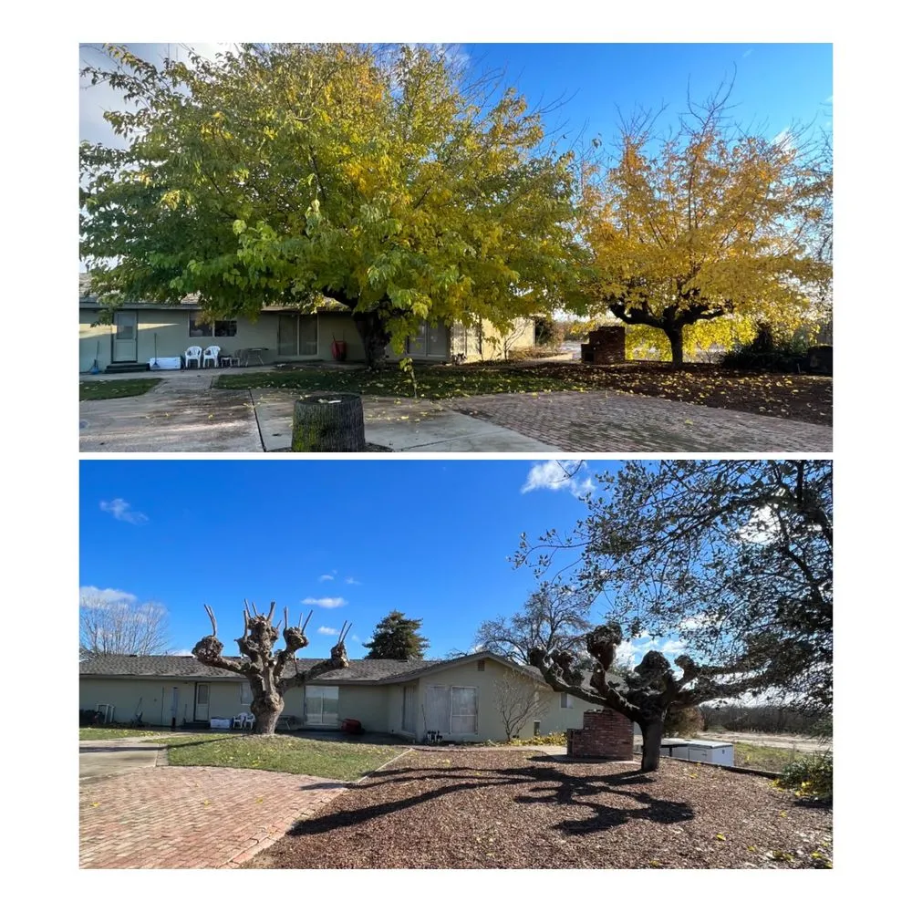 Trusted landscape installation with custom design across Merced, CA - Prado's Landscaping & Tree Service