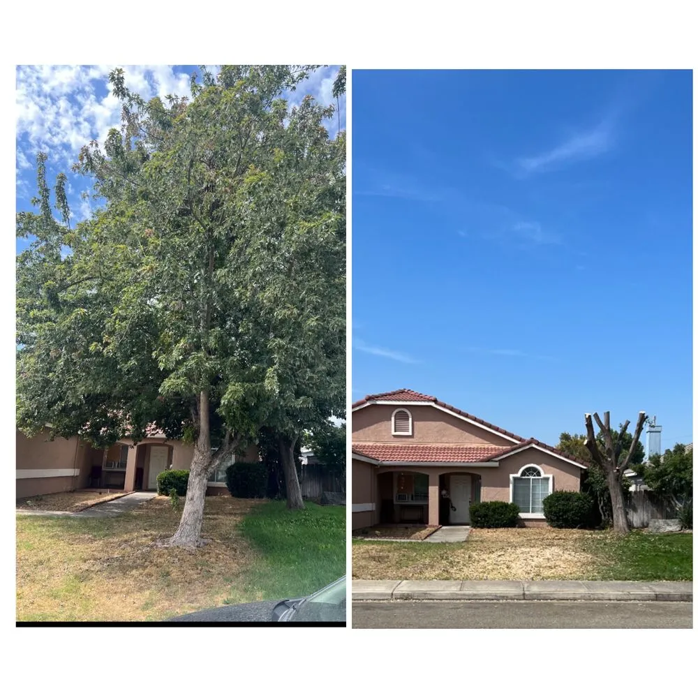 Professional residential landscaping with custom design in Merced, CA by Prado's Landscaping & Tree Service