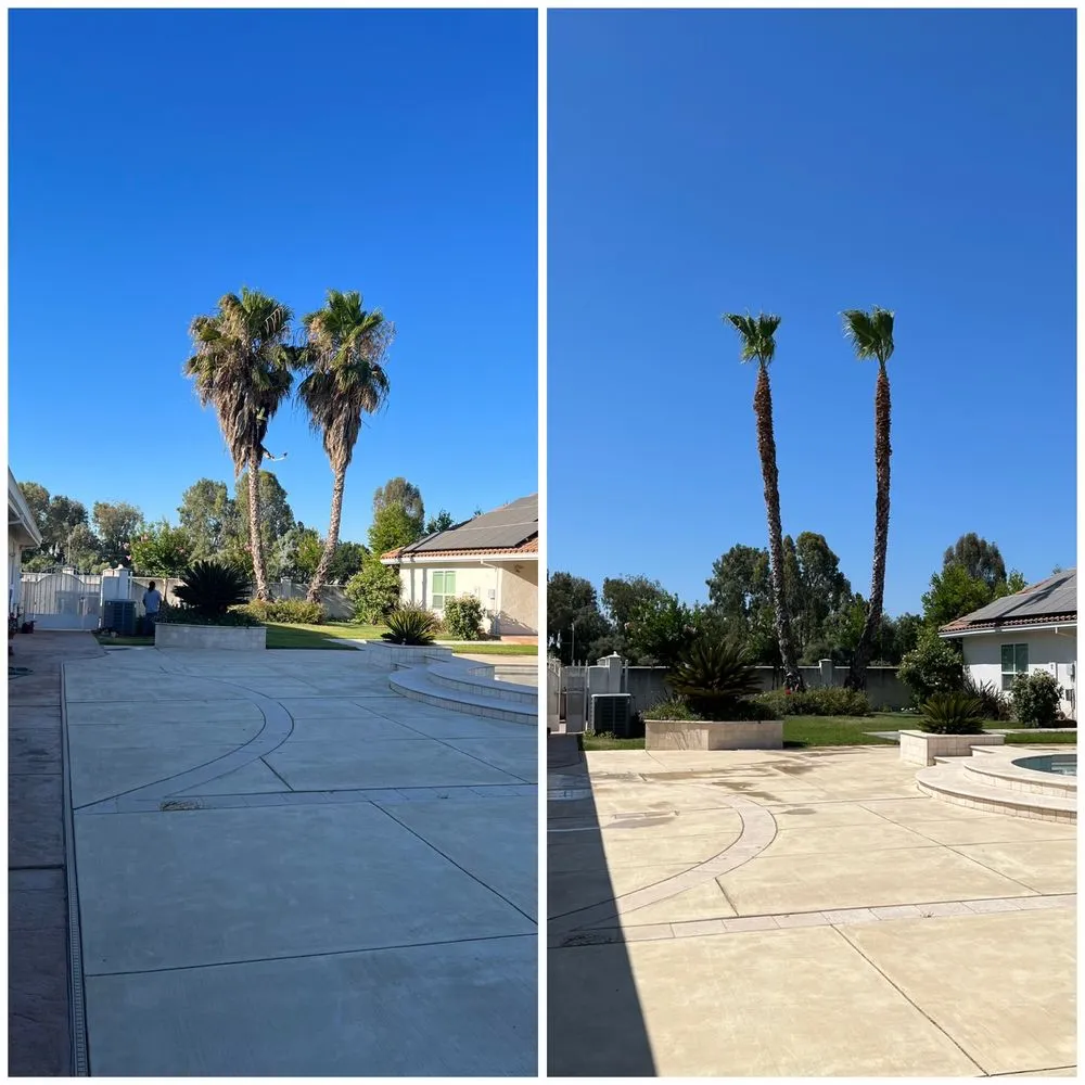 Custom garden landscaping experts serving Merced, CA - Prado's Landscaping & Tree Service