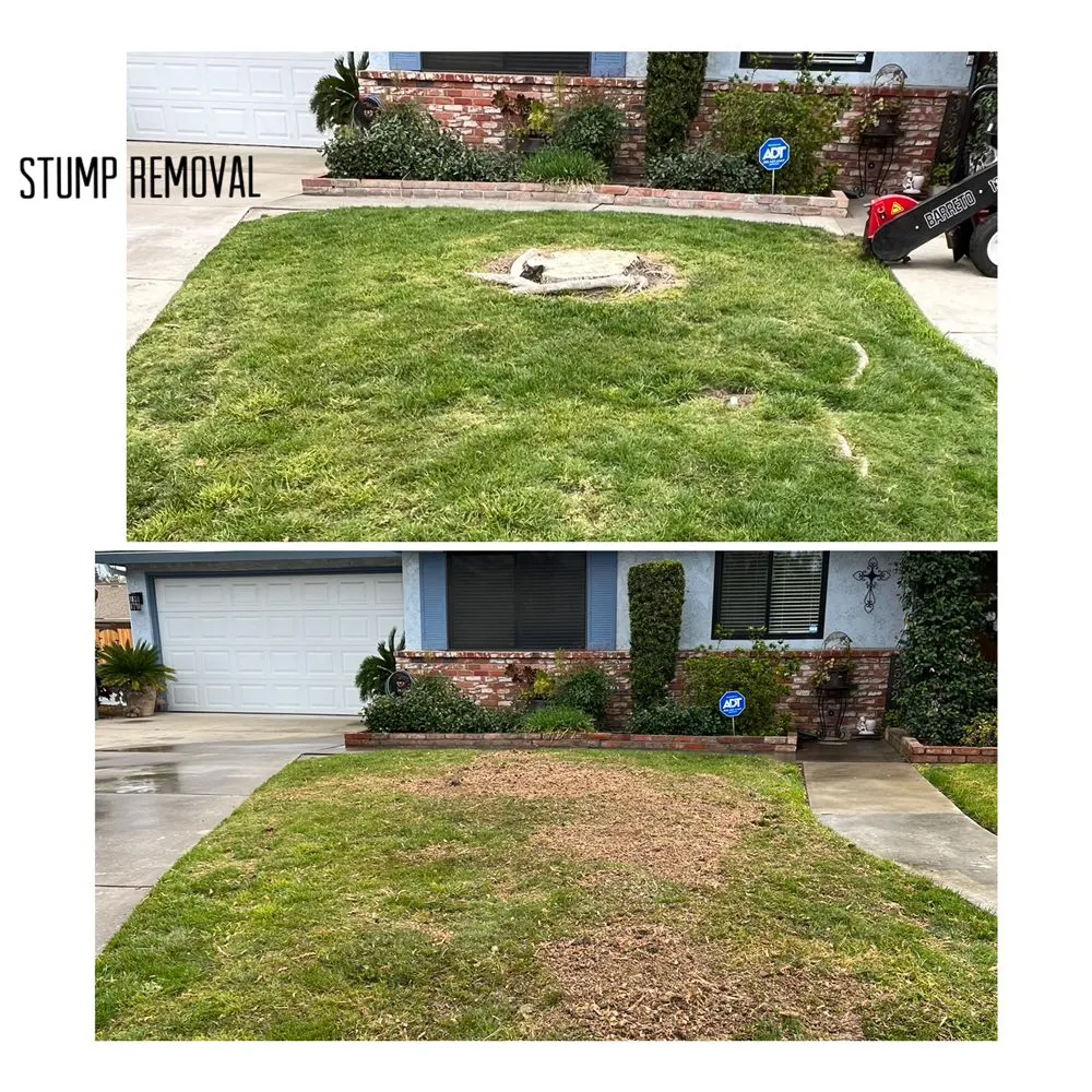 Expert lawn care service in Merced, CA by Prado's Landscaping & Tree Service
